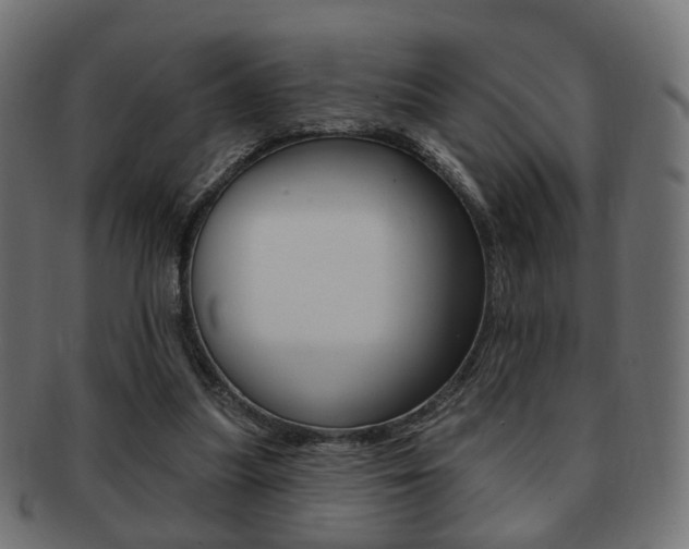 X0000091970251200709061138