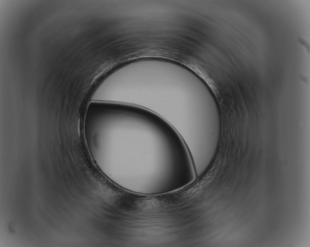 X0000091970253200709061138