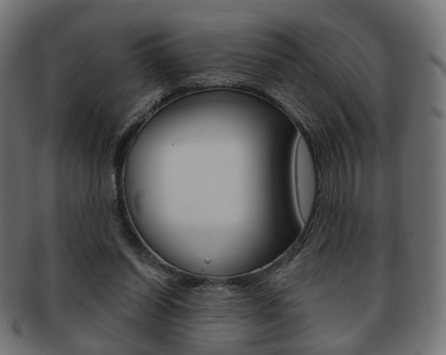 X0000091970254200709061138