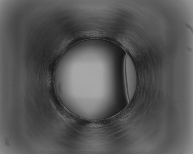 X0000091970255200709061138