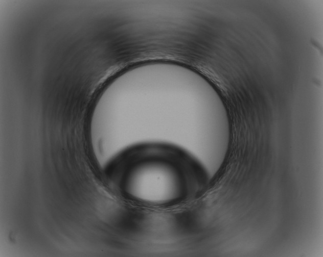 X0000091970256200709061138