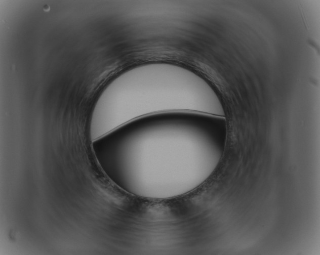 X0000091970258200709061138