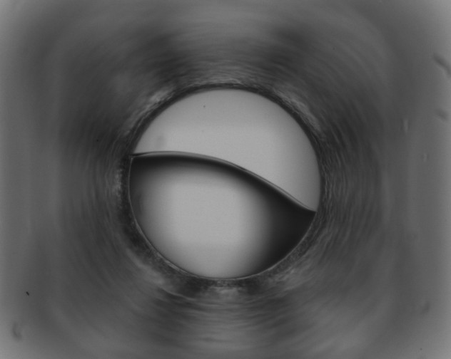 X0000091970260200709061138