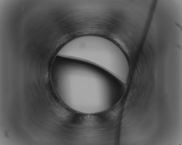 X0000091970261200709061138