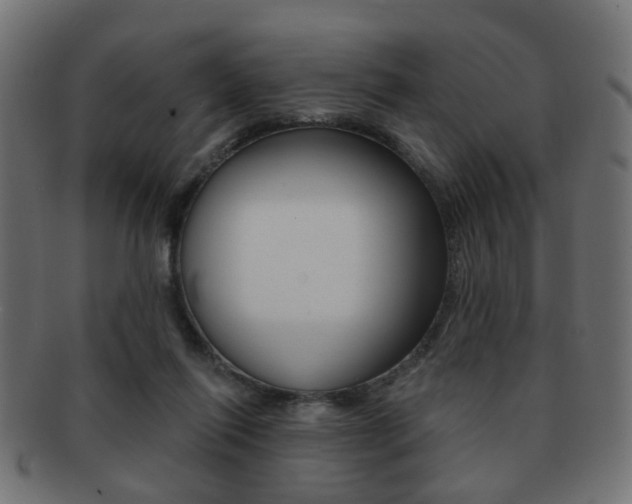 X0000091970262200709061138