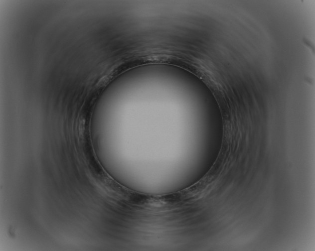 X0000091970263200709061138