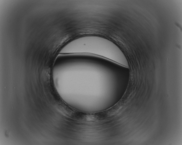X0000091970264200709061138