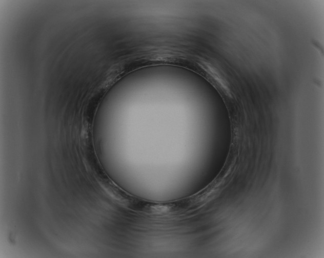 X0000091970265200709061138