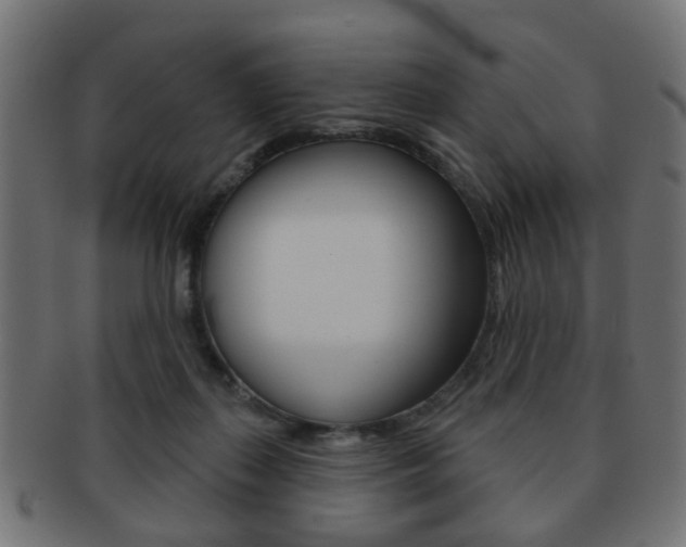 X0000091970267200709061138