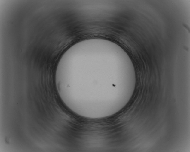 X0000091970268200709061138