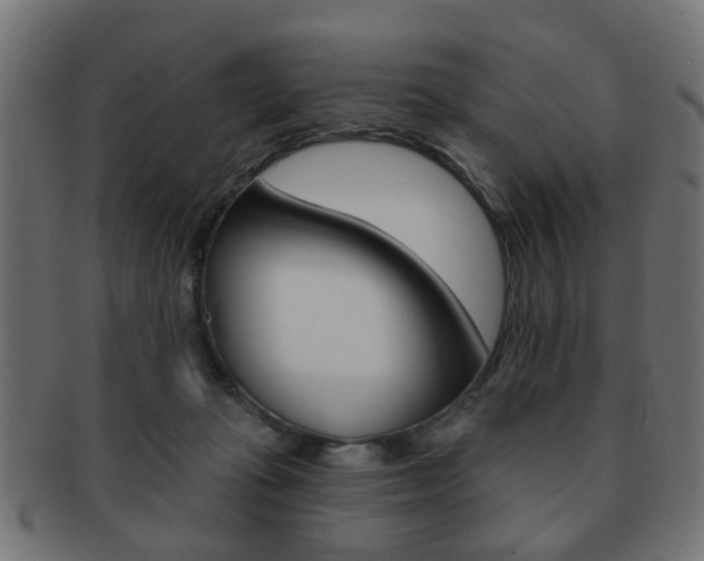 X0000091970269200709061138