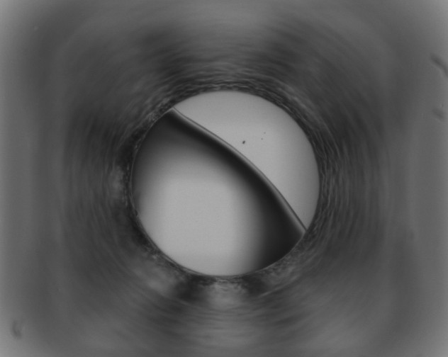 X0000091970270200709061138