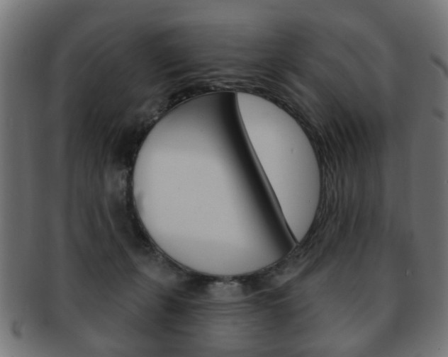 X0000091970271200709061138