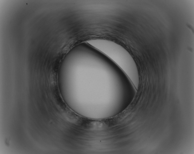 X0000091970272200709061138