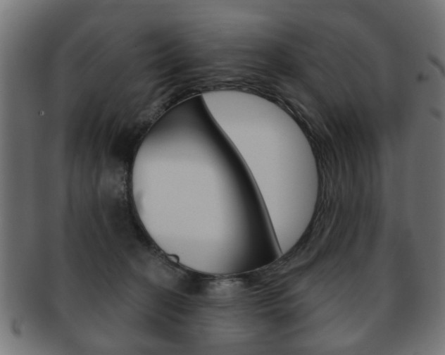 X0000091970274200709061138