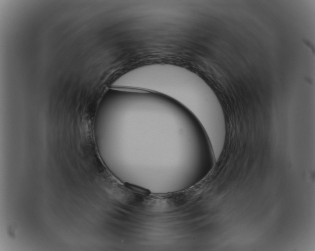 X0000091970276200709061138