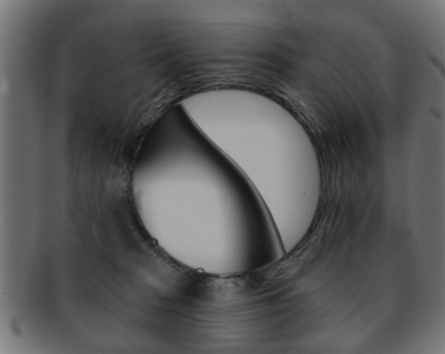 X0000091970277200709061138
