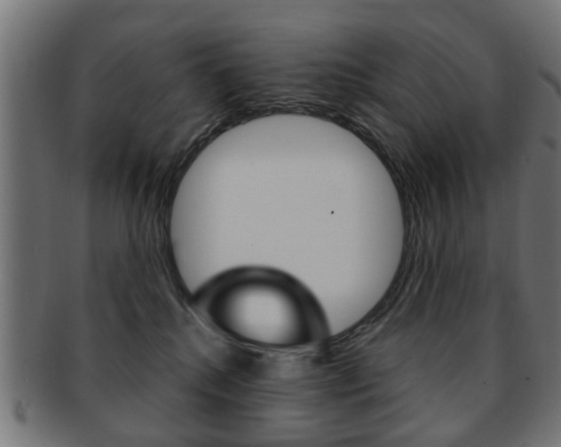 X0000091970280200709061138