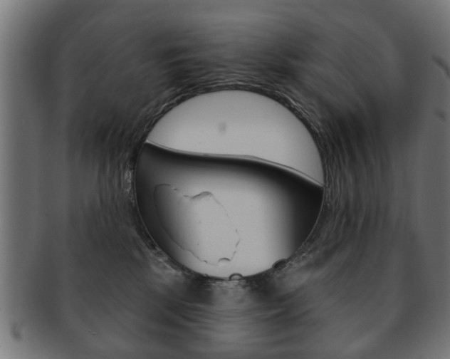 X0000091970281200709061138