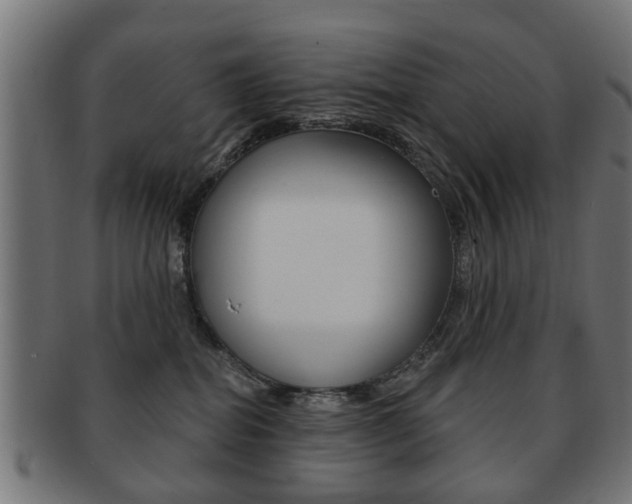 X0000091970282200709061138