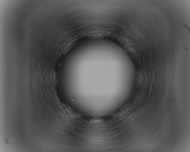 X0000091970283200709061138