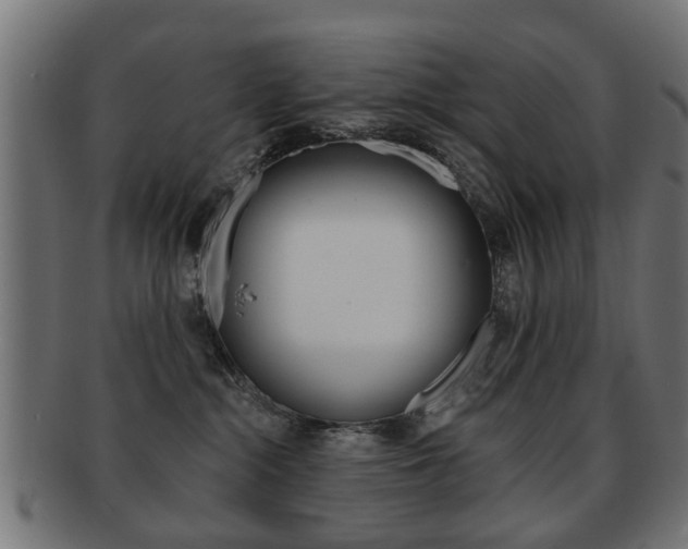 X0000091970284200709061138