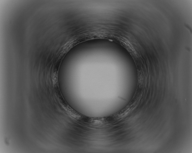 X0000091970285200709061138
