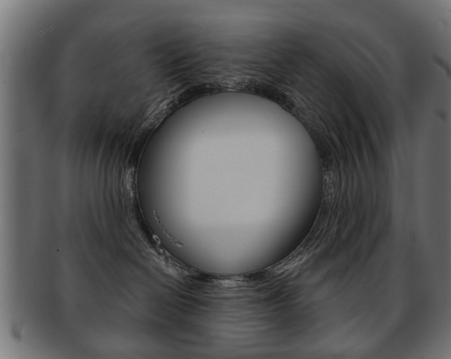 X0000091970286200709061138
