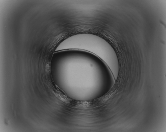 X0000091970288200709061138
