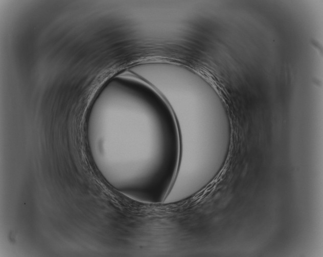 X0000091970289200709061137