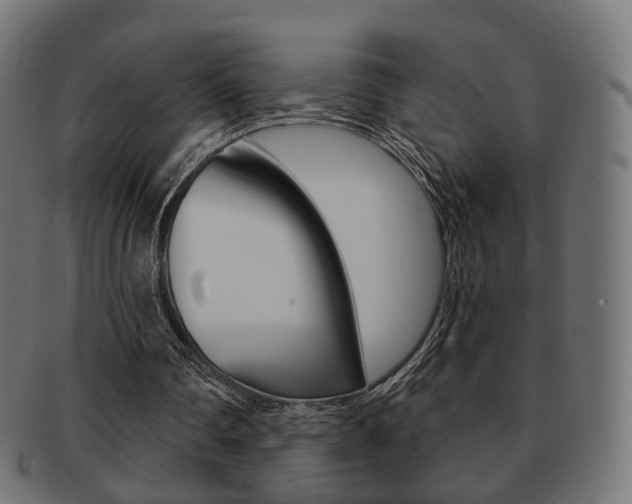 X0000091970290200709061137