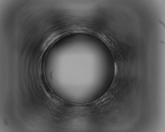 X0000091970291200709061137