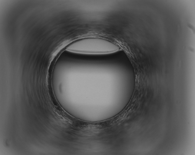 X0000091970292200709061137