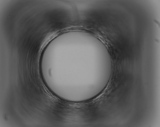 X0000091970293200709061137