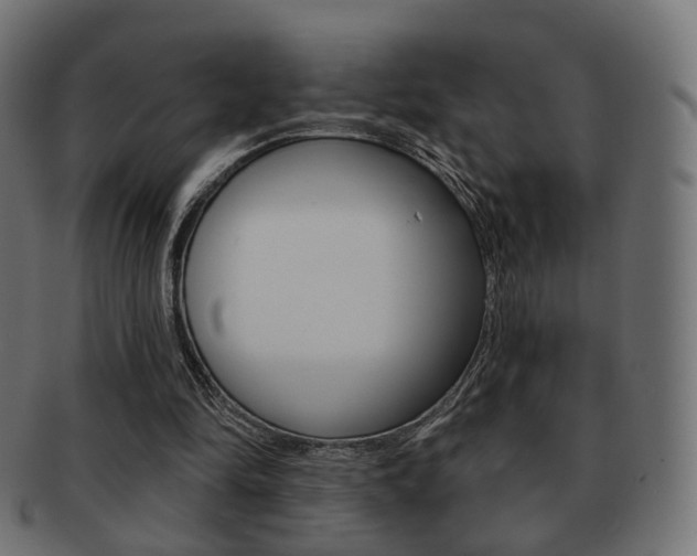 X0000091970294200709061137