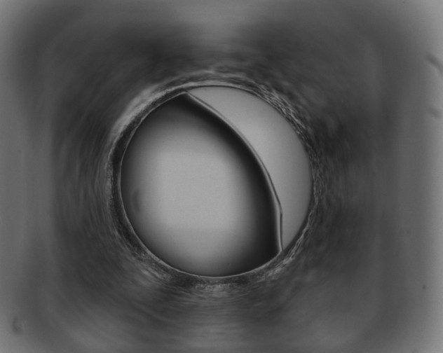 X0000091970295200709061137