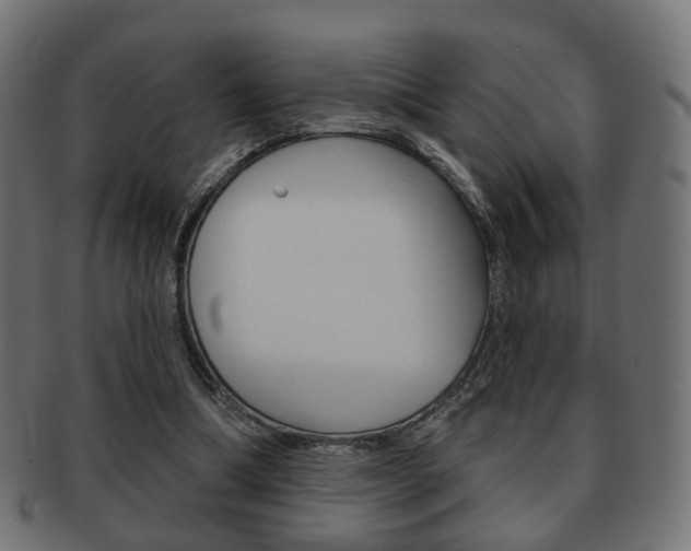 X0000091970298200709061137