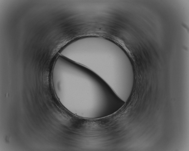 X0000091970299200709061137