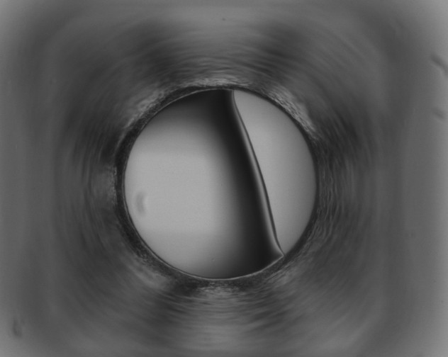 X0000091970300200709061137
