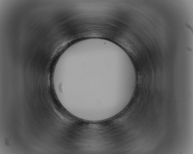 X0000091970302200709061137