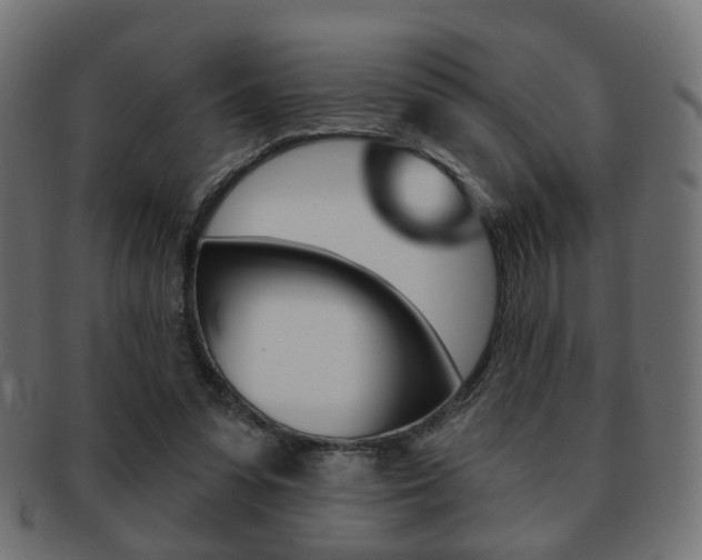 X0000091970303200709061137