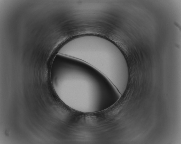 X0000091970304200709061137