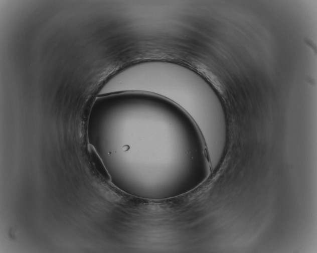 X0000091970305200709061137