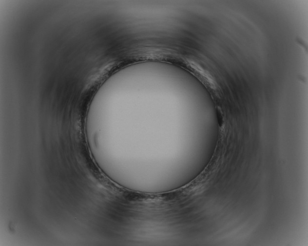 X0000091970306200709061137