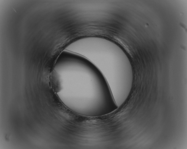 X0000091970307200709061137