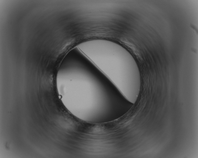 X0000091970308200709061137