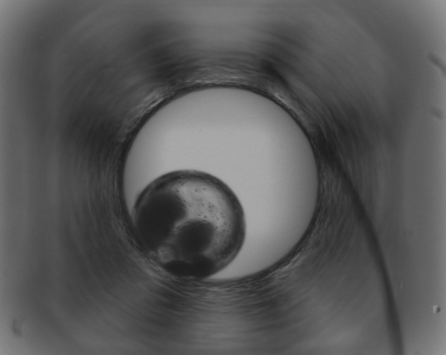 X0000091970309200709061137