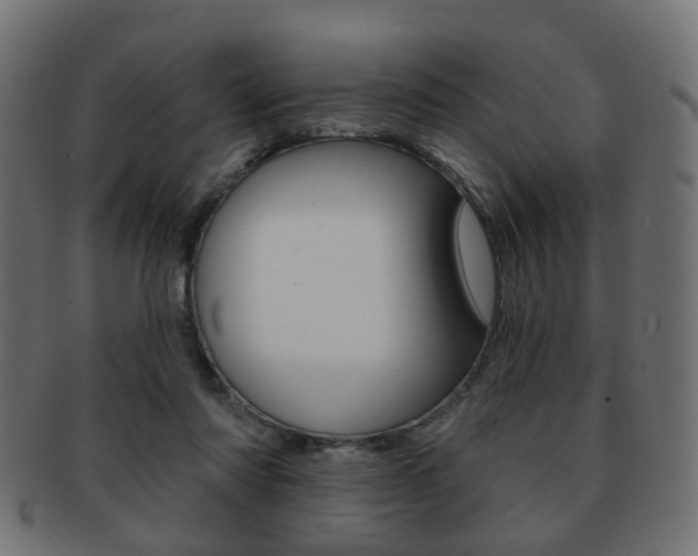 X0000091970310200709061137