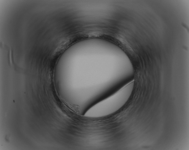 X0000091970311200709061137