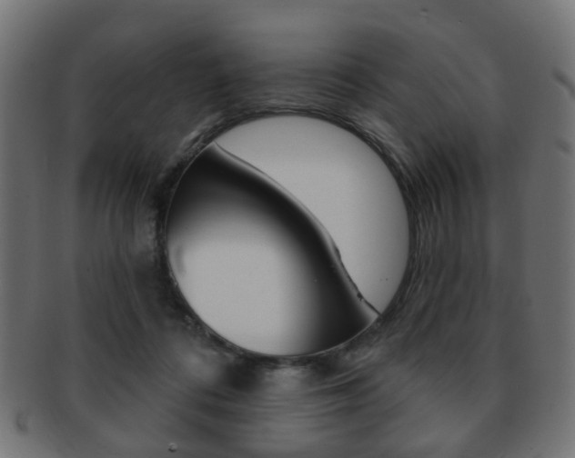 X0000091970312200709061137